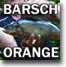 Barschrezept